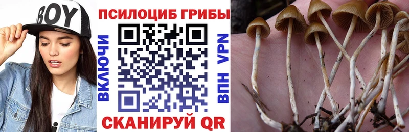 Галлюциногенные грибы прущие грибы  Купить закладки  Сковородино 